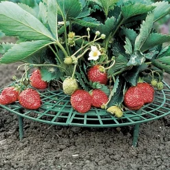 Sonstiges Garten-Erdbeerreifer 5 Stk.