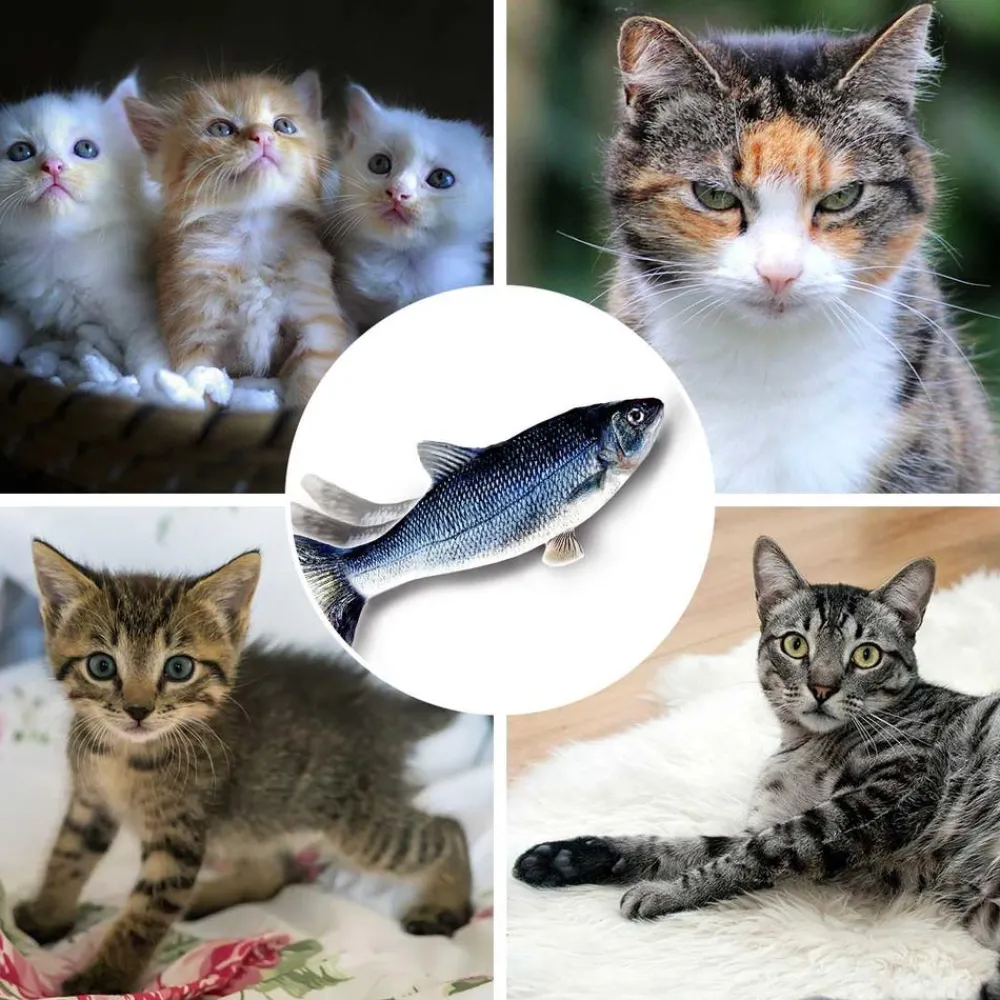 Keine Tierwelt-Flippity Fish interaktives Katzenspielzeug (B-Ware)
