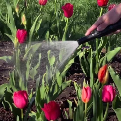 Hammersmith Garten-HydroSteel Gartenschlauch mit Sprühdüse