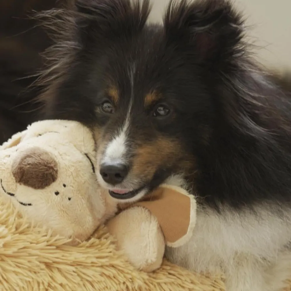 Keine Tierwelt-Huggie Pup das beruhigende Hunde-Kuscheltier mit Herzschlag & Wärmekissen