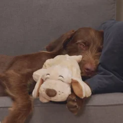 Keine Tierwelt-Huggie Pup das beruhigende Hunde-Kuscheltier mit Herzschlag & Wärmekissen