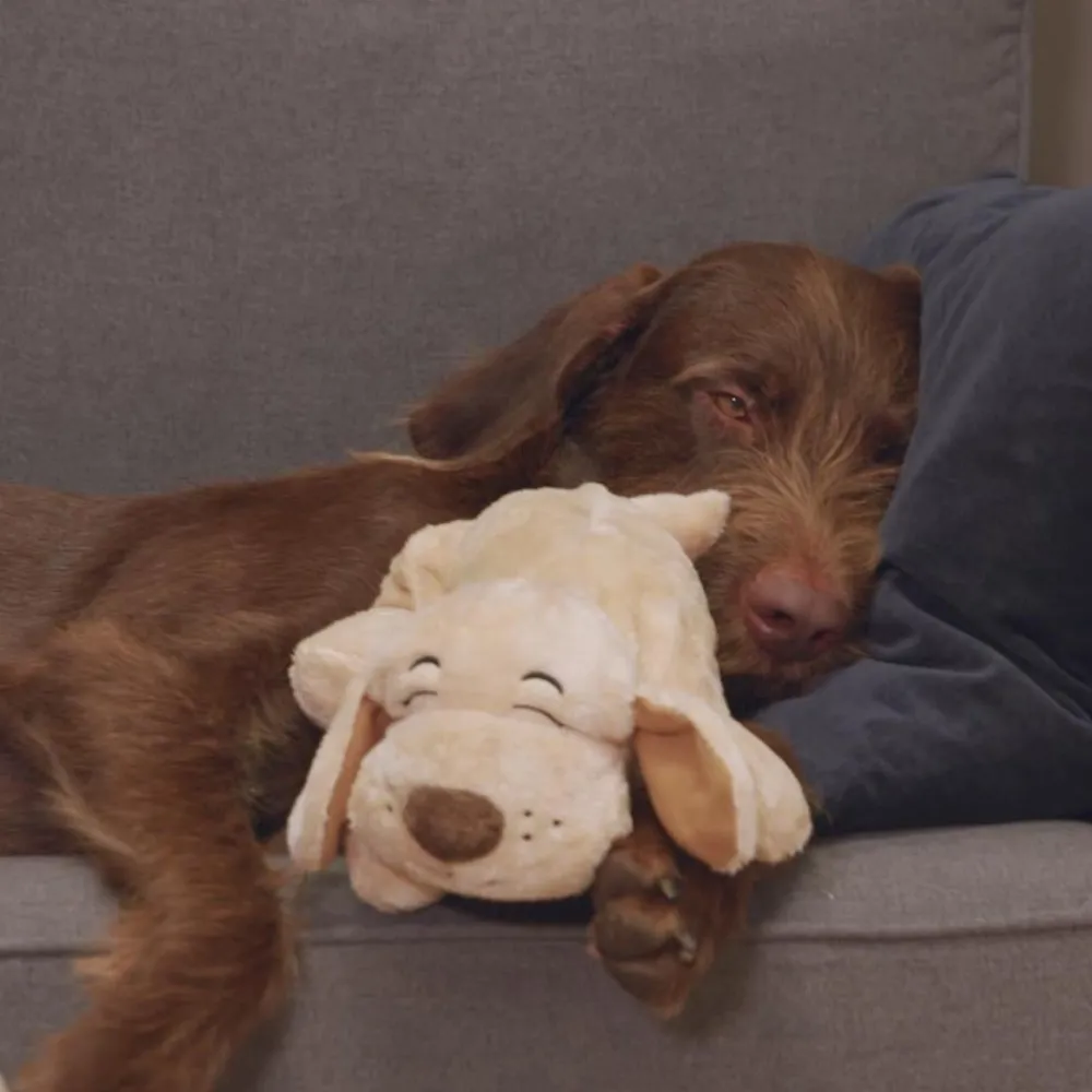 Keine Tierwelt-Huggie Pup das beruhigende Hunde-Kuscheltier mit Herzschlag & Wärmekissen