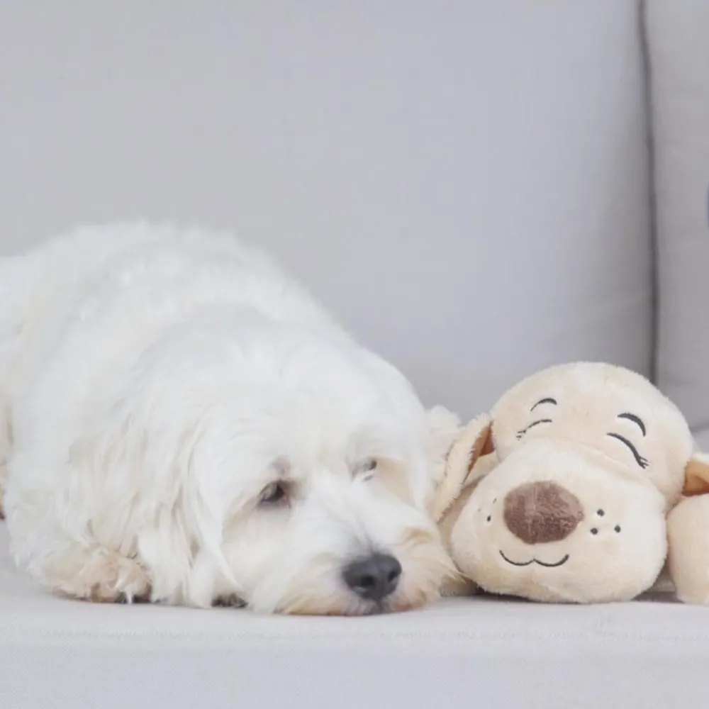 Keine Tierwelt-Huggie Pup das beruhigende Hunde-Kuscheltier mit Herzschlag & Wärmekissen