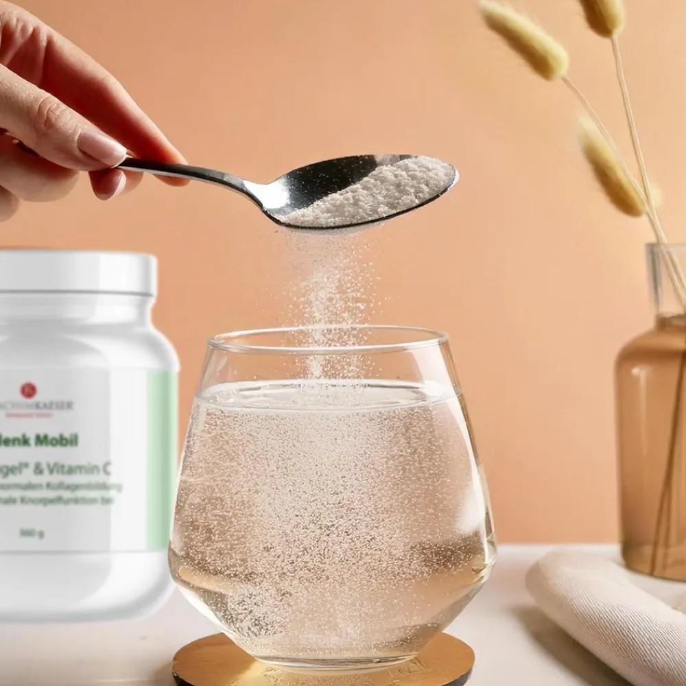 Keine Gesundheit & Wohlbefinden|Kosmetik-Joachim Kaeser - Gelenk Mobil Nahrungsergänzung für Gelenke 360 g
