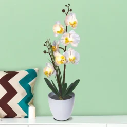 Sonstiges Beleuchtung-LED-Orchidee