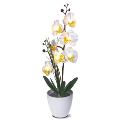 Sonstiges Beleuchtung-LED-Orchidee