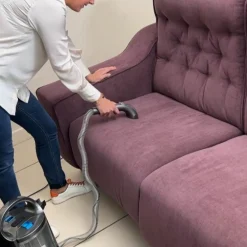 Livington Reinigung-StainEx tragbarer Nasssauger mit Dualkammer-Technologie
