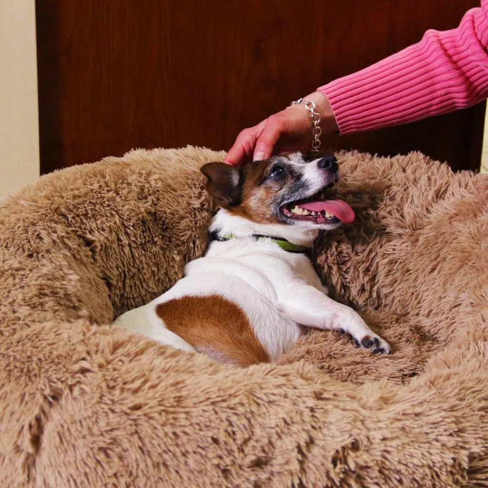 Keine Tierwelt-Peaceful Pooch Katzen- & Hundebett