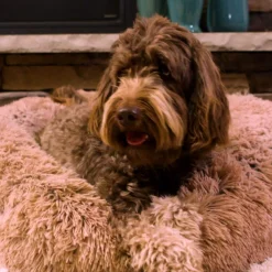 Keine Tierwelt-Peaceful Pooch Katzen- & Hundebett