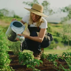 Keine Garten-PlantBliz flüssiger All-in-One-Pflanzendünger