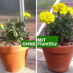 Keine Garten-PlantBliz flüssiger All-in-One-Pflanzendünger