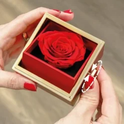 Sonstiges Spiel & Spaß-Schmuck- und Geschenkbox
