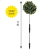 Sonstiges Beleuchtung|Garten-Solar-Buchsbaum 3er-Set