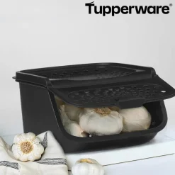 Tupperware Küchenhelfer & Kochzubehör-GarlicSmart Vorratsbehälter für Knoblauch